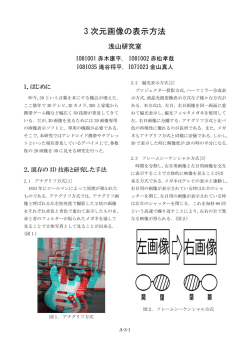 3 次元画像の表示方法