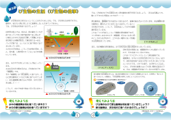 び生物の生活（び生物の食事）