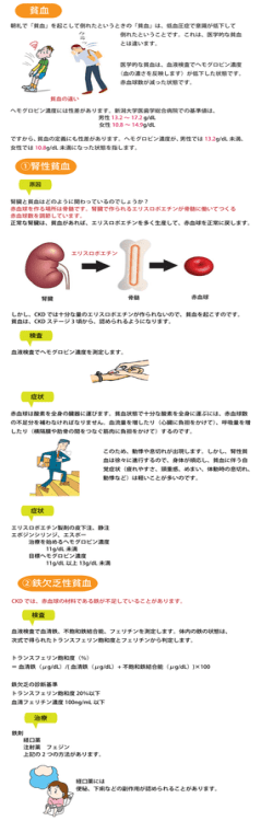 貧血 ①腎性貧血 ②鉄欠乏性貧血