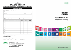 SWS総合 カタログPDF