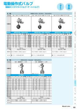 電動操作式バルブ