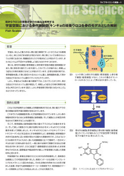 PDF: 396KB - 宇宙ステーション・きぼう広報・情報センター