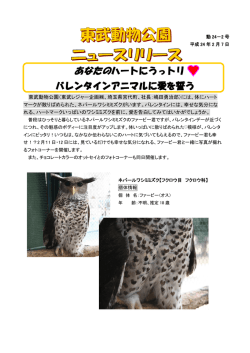 あなたのハートにうっトリ バレンタインアニマルに愛を誓う