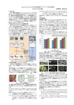 Bag-of-features における局所特徴のサンプリング手法の評価 EP06040