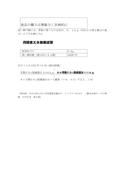 食品の購入は無駄なく計画的に 月間省エネ効果試算
