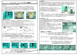 クロール導入 『ローリングと呼吸』を極める