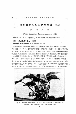 日本産かんあふび類解説(其九) - 植物研究雑誌 THE JOURNAL OF