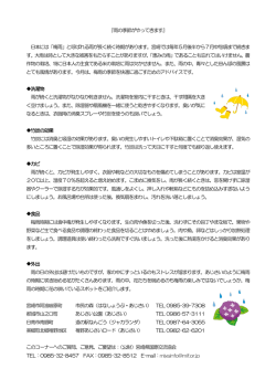 雨の季節がやってきます