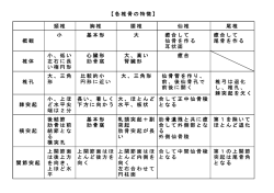 【各椎骨の特徴】 頚椎 胸椎 腰椎 仙椎 尾椎 頚椎 胸椎 腰椎 仙椎 尾椎