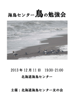 海鳥センター鳥の勉強会