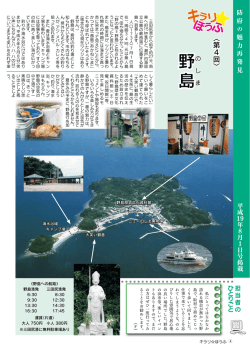 野 の 島