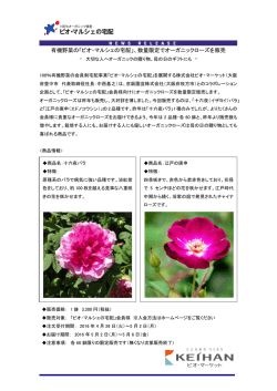 有機野菜の「ビオ・マルシェの宅配」、数量限定でオーガニックローズを販売