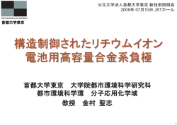 構造制御されたリチウムイオン 電池用高容量合金系負極
