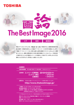 PDFファイル（671KB） - 画論 The Best Image について