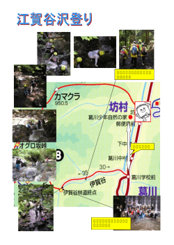 沢登り (PDF:223KB)