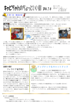 ドッグドック＆キャットドック