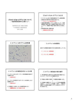 Clostridium difficileについて Clostridium difficileとは