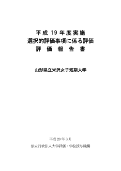 選択的評価事項に係る評価 評価報告書