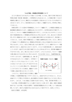 「ふるや紙」の物理化学的性質について 古くから使われてきたあぶらとり