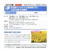 日本語アシスタントと専用車で行く ひまわり畑午前観光