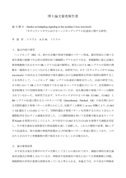 博理第54号