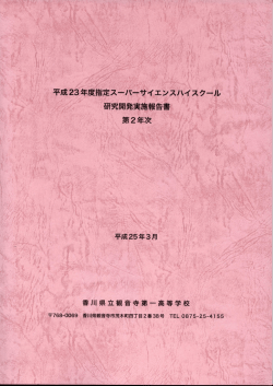 平成24年度報告書 - 香川県情報教育支援サービス