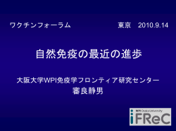 発表資料