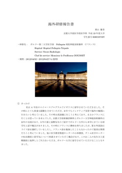 海外研修報告書