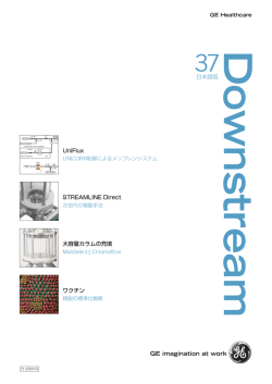 Downstream No.37 (日本語版） PDF: 936KB