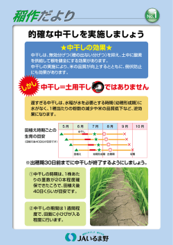 稲作だより 稲作だより