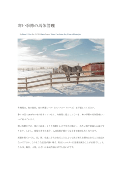 寒い季節の馬体管理