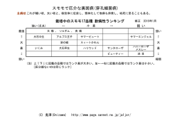 スモモで厄介な黒斑病(穿孔細菌病)