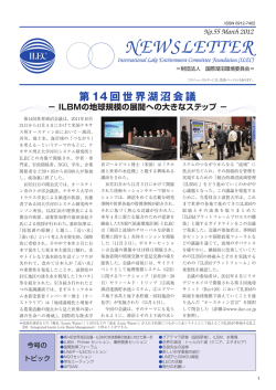 No.55 （軽量版）