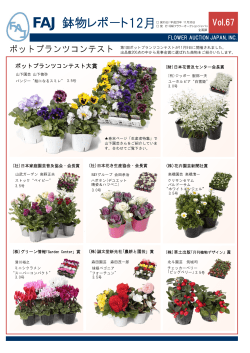 Vol.67 2011年11月15日発行 FAJ鉢物レポート12月