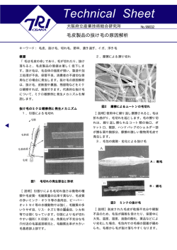 Technical Sheet - 地方独立行政法人大阪府立産業技術総合研究所