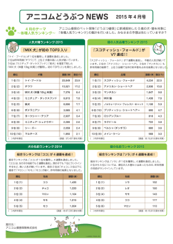 2015年4月号 各種人気ランキング