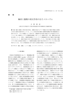 軸索と髄鞘の相互作用の分子メカニズム