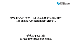 （ドバイ・カタール）ビジネスミッション報告 ～中東市場への本格進出に