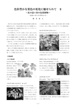 色彩豊かな葉色の変化に魅せられて Ⅱ