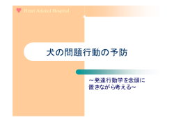 犬の問題行動の予防
