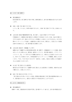 ストーリー（文章）PDF