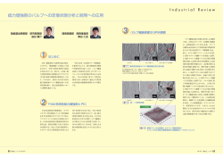 紙力増強剤のパルプへの定着状態分析と開発への応用