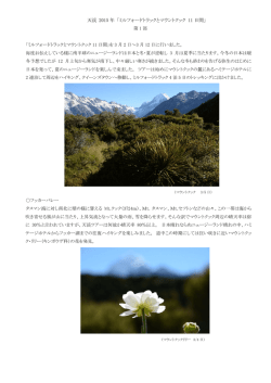 2015年4月5日