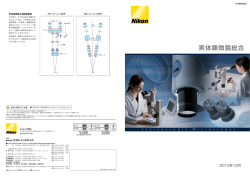 実体顕微鏡総合