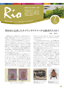 豊田市に定着したタイワンタケクマバチは悪者だろうか？