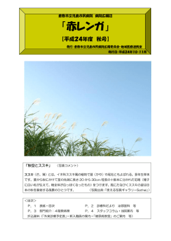 赤レンガ - 倉敷市