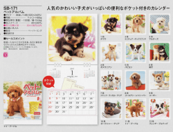 Page 1 SB-171 人気のかわいい子犬がいっばいの便利なポケット付きの