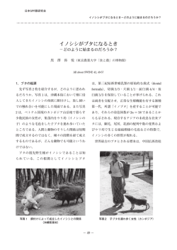 イノシシがブタになるとき
