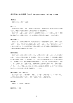 非常用炉心冷却装置 - 原子力安全システム研究所