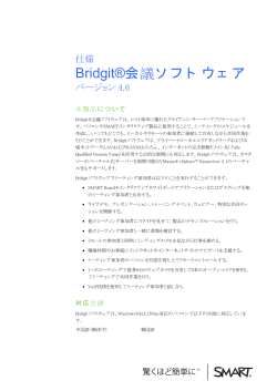 Bridgit 4.6 specifications